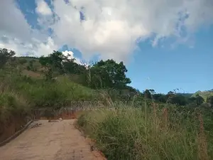 Land for Sale Nillamba