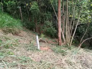 Land for Sale Galgediyawa