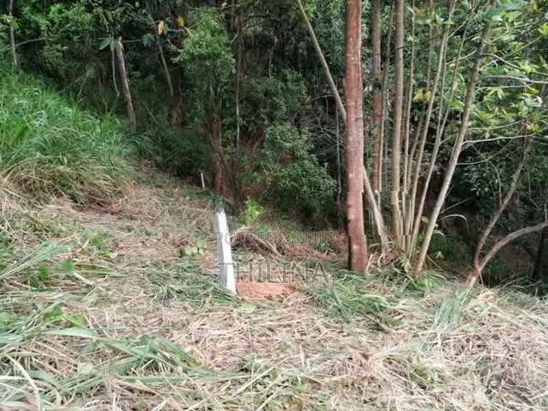 Land for Sale Galgediyawa