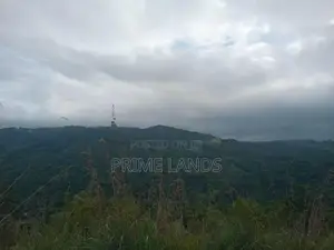 Land for Sale Nillamba