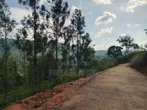 Land for Sale Nillamba