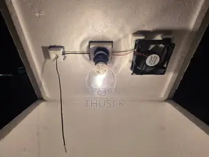 Egg Incubator