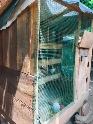 පරවියන් සහ කුඩුවක් විකිනිිමට