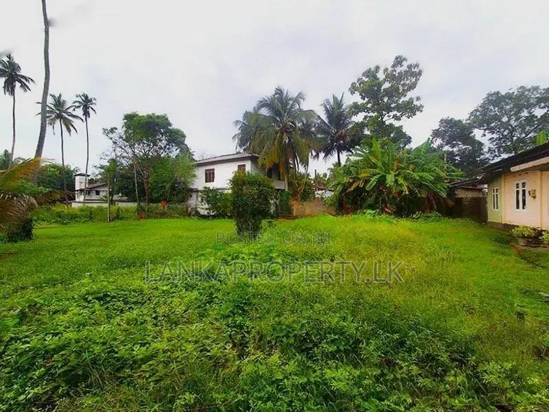 Prime Residential Land for Sale – Weligampitiya, Ja-Ela.