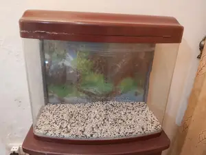 Fish tank with cupboard