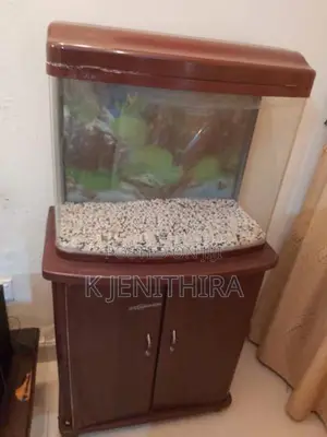 Fish tank with cupboard