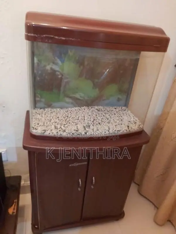 Fish tank with cupboard