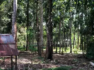 Spacious House for Sale – Ambuluwawa
