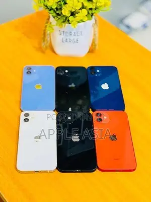 Apple iPhone 12 256GB (Used)
