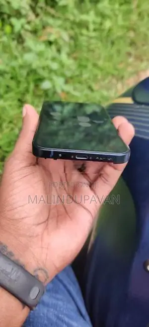 Apple iPhone 13 128GB (Used)