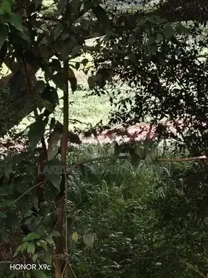 River Front Land for Sale in Kandy