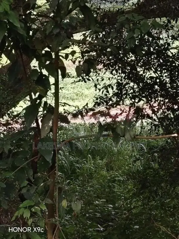 River Front Land for Sale in Kandy