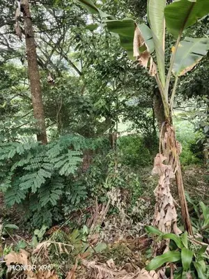 River Front Land for Sale in Kandy