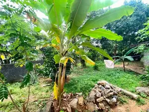 ( IS-1104)Valuable Residential Bare Land Sale in Homagama
