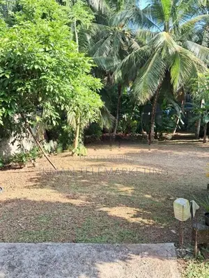 Residential Land for Sale in Kadana, Rilawulla