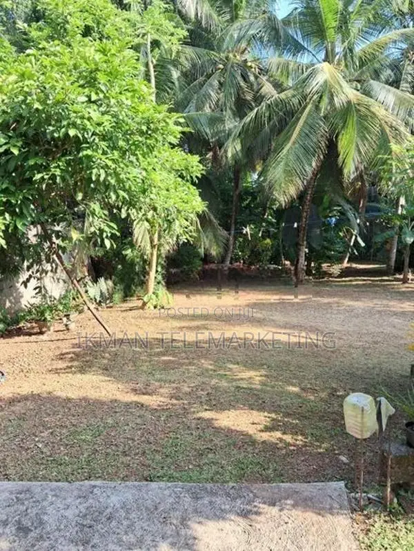 Residential Land for Sale in Kadana, Rilawulla