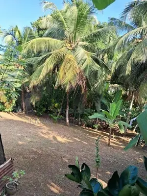 Residential Land for Sale in Kadana, Rilawulla
