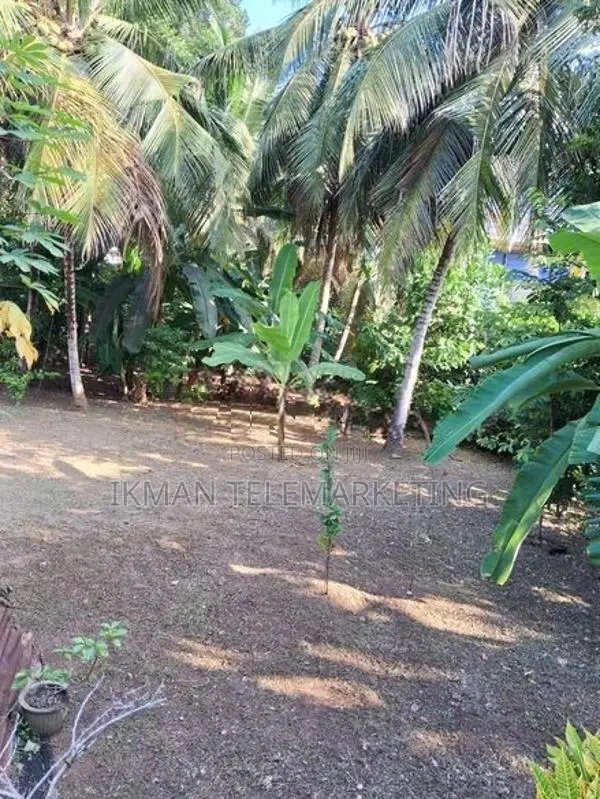 Residential Land for Sale in Kadana, Rilawulla