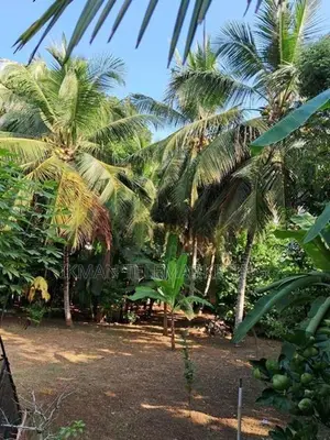 Residential Land for Sale in Kadana, Rilawulla