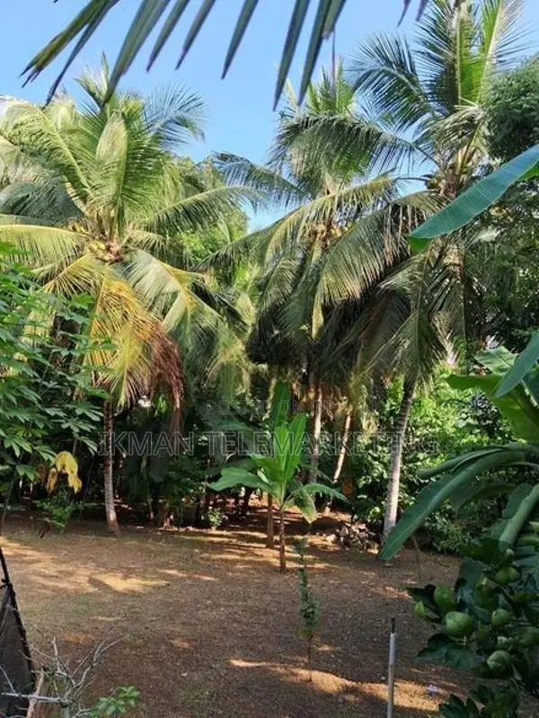 Residential Land for Sale in Kadana, Rilawulla
