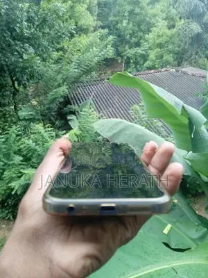 Xiaomi Redmi 15C (Used)