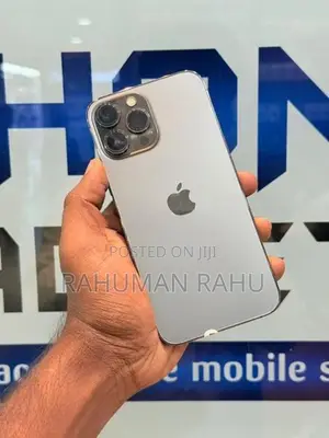 Apple iPhone 13 Pro Max 256GB (Used)