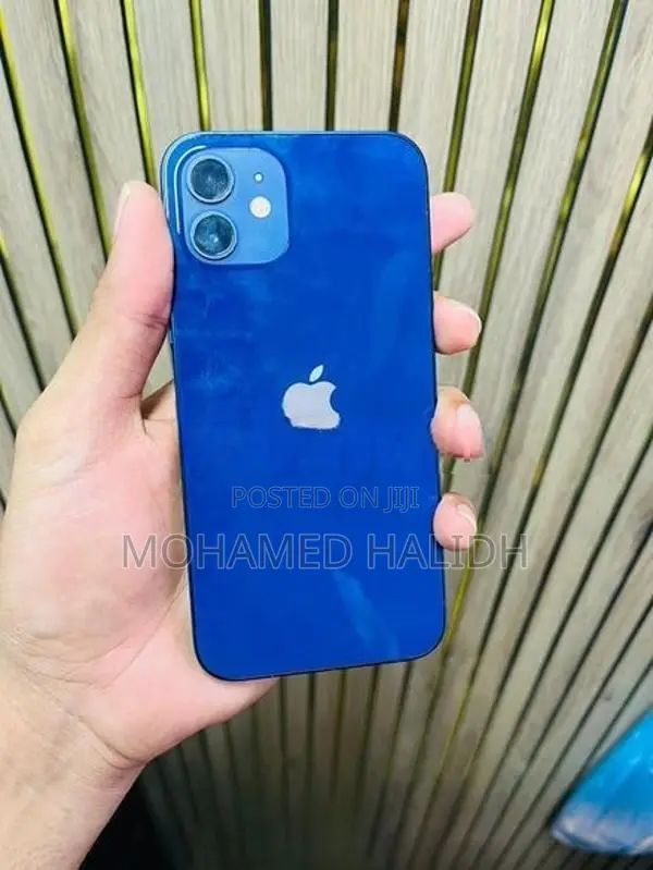 Apple iPhone 12 (Used)