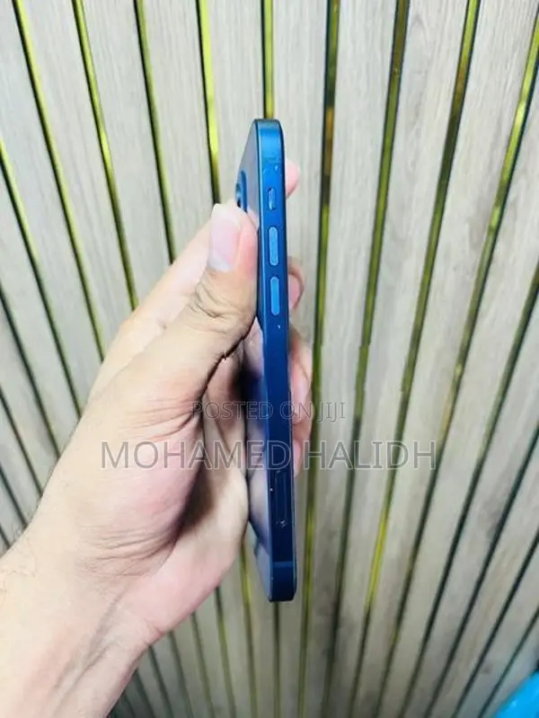 Apple iPhone 12 (Used)