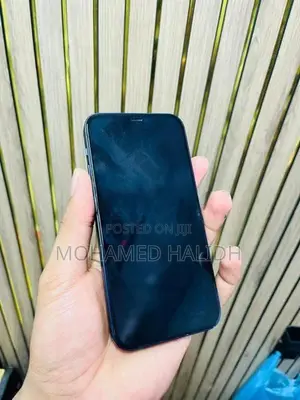 Apple iPhone 12 (Used)