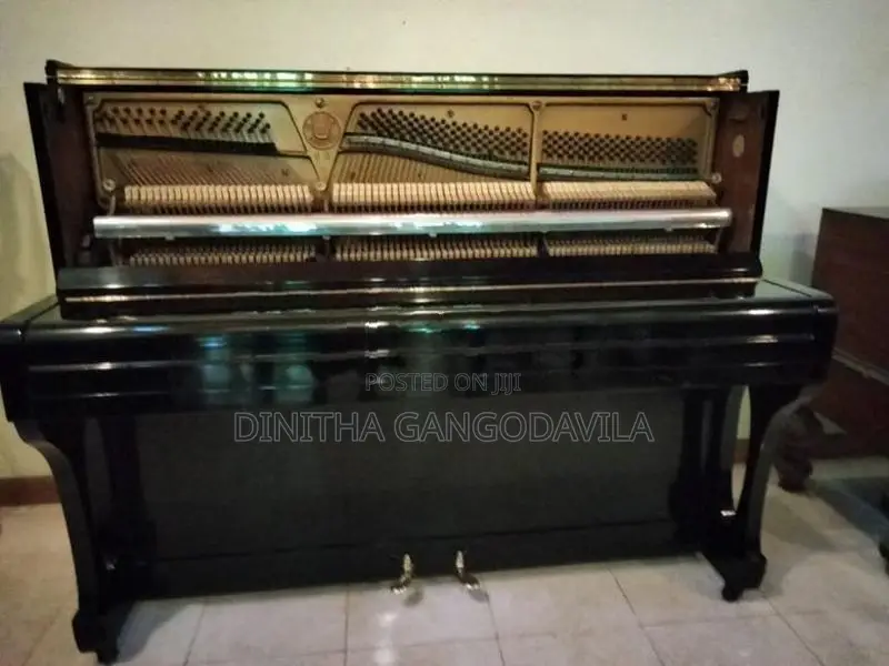 E.Grieg Piano