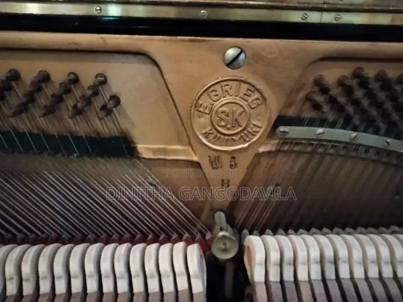 E.Grieg Piano