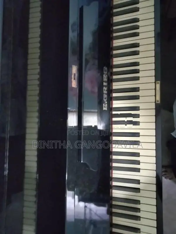 E.Grieg Piano