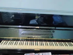E.Grieg Piano