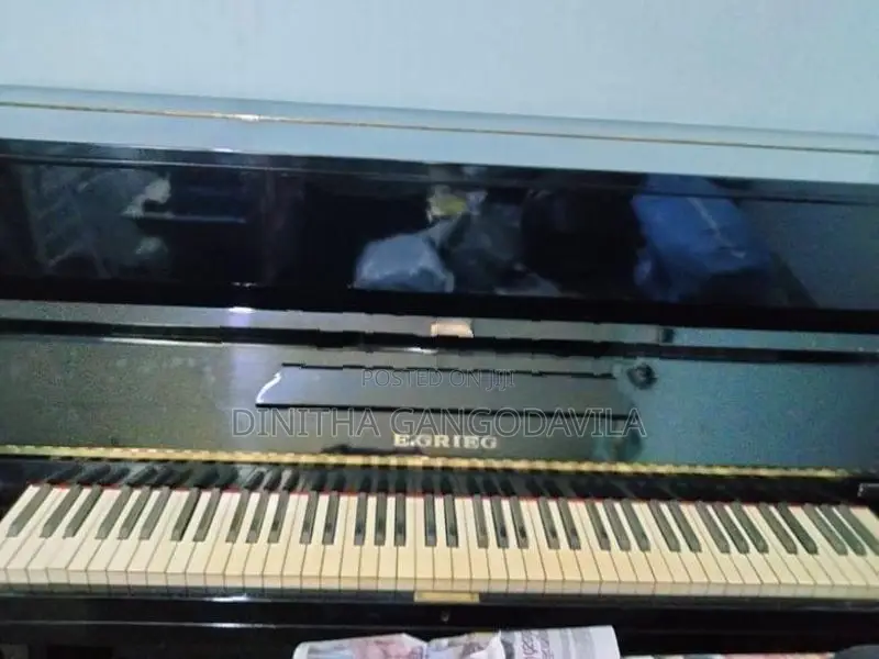 E.Grieg Piano