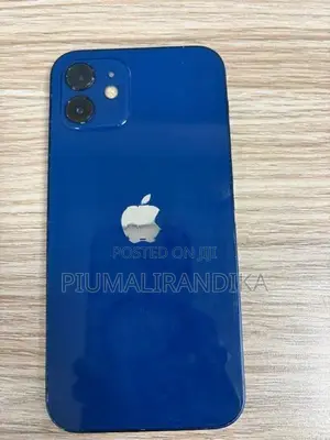 Apple iPhone 12 (Used)