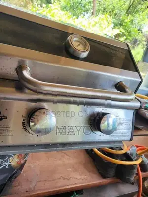 Gas BBQ Grill