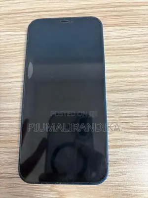Apple iPhone 12 (Used)