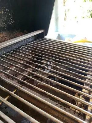 Gas BBQ Grill