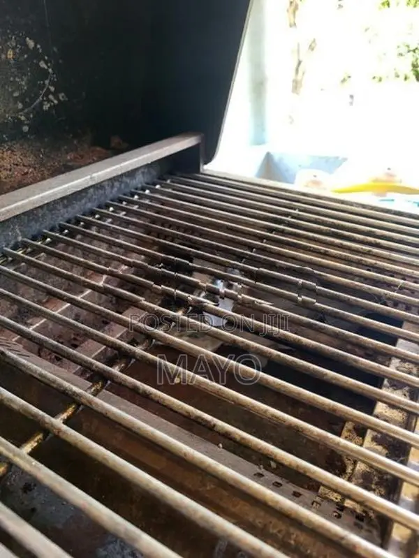 Gas BBQ Grill