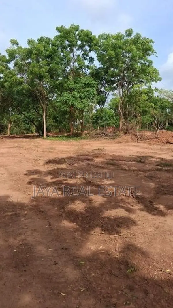 Premium Land Plots For Sale In Tangalle Rekawa