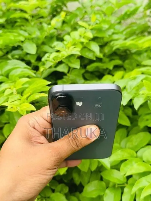 Apple iPhone 17 (Used)