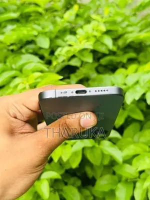 Apple iPhone 17 (Used)