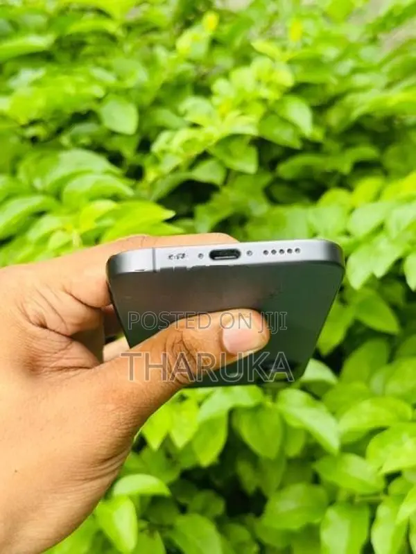 Apple iPhone 17 (Used)