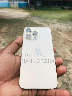 Apple iPhone 13 Pro (Used)