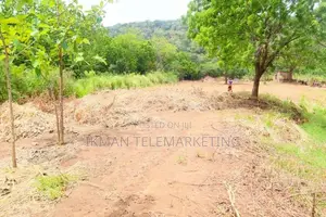 Valuable Residential Land for Sale – Kataragama, Devagamuwa
