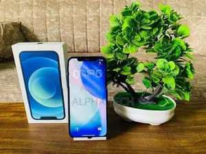 Apple iPhone 12 5G 64GB (Used)