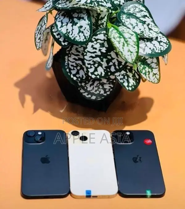 Apple iPhone 15 128GB (Used)