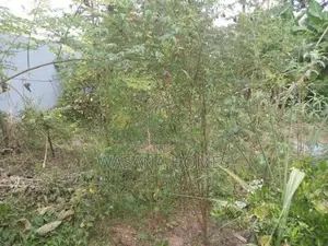 Top Land for Sale Boralesgamuwa