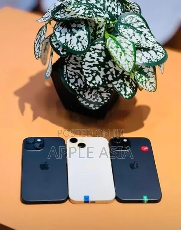 Apple iPhone 15 128GB (Used)