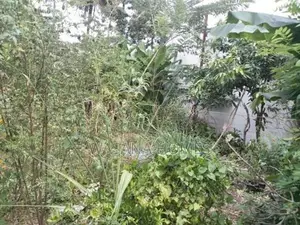 Top Land for Sale Boralesgamuwa